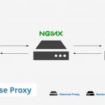 Hướng dẫn reverse-proxy NGINX-Apache Directadmin