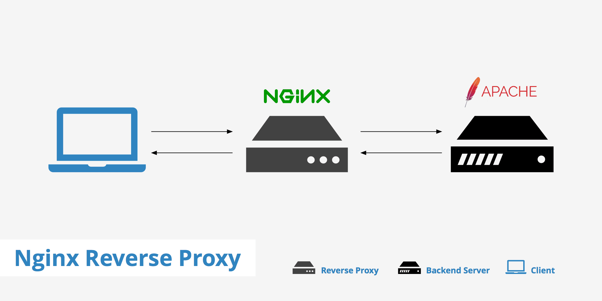 reverse-proxy NGINX_Apache Directadmin